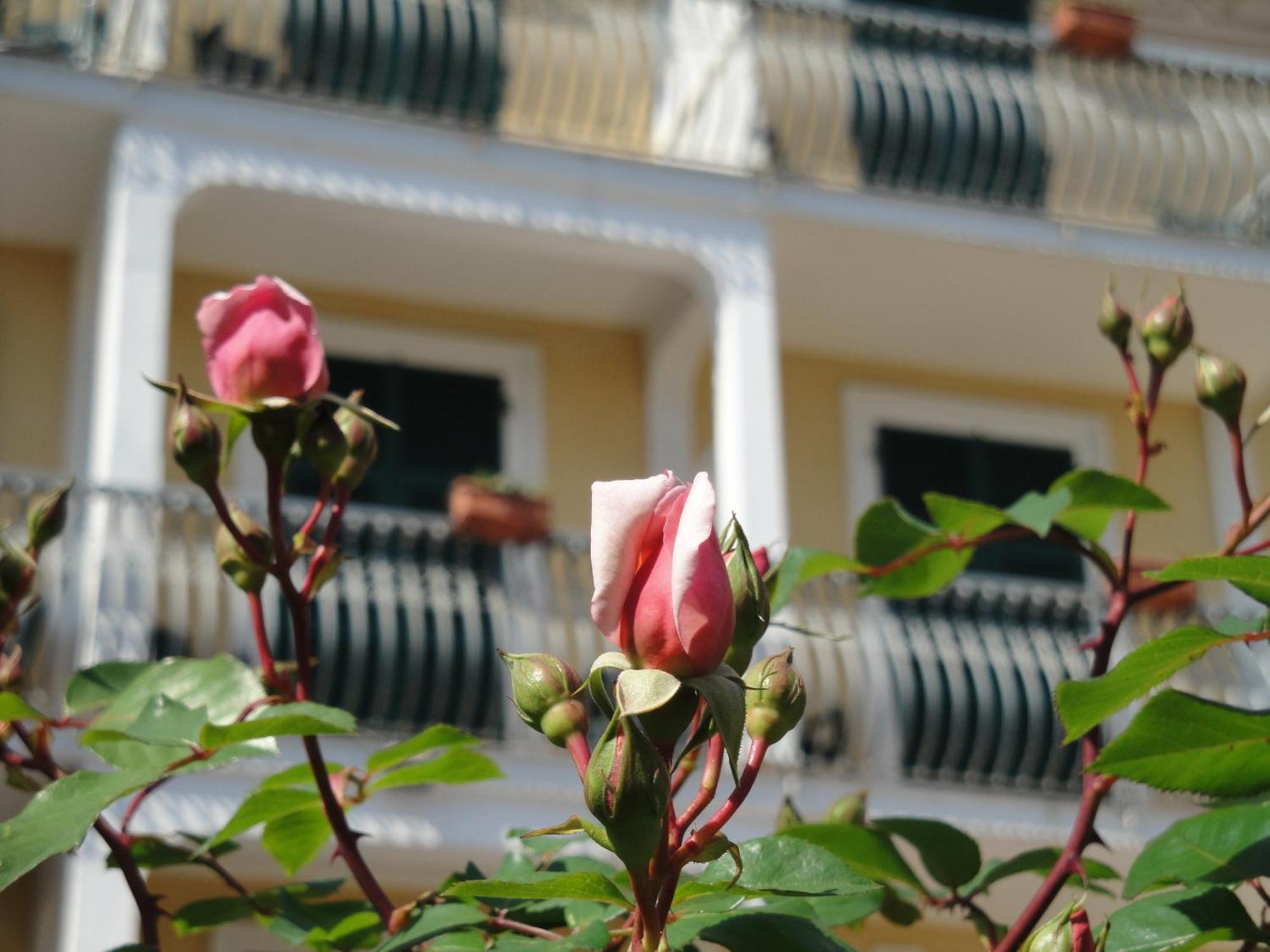 Hotel Miranda